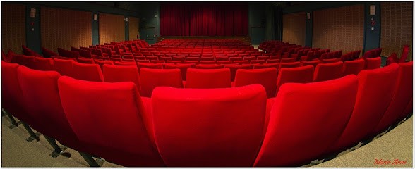 Ciné-club Limoux, Cinéma à Limoux