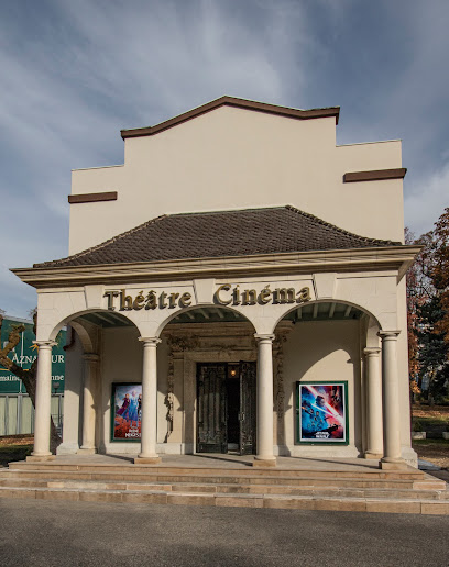 Cinéma Divonne, Cinéma à Divonne-les-Bains